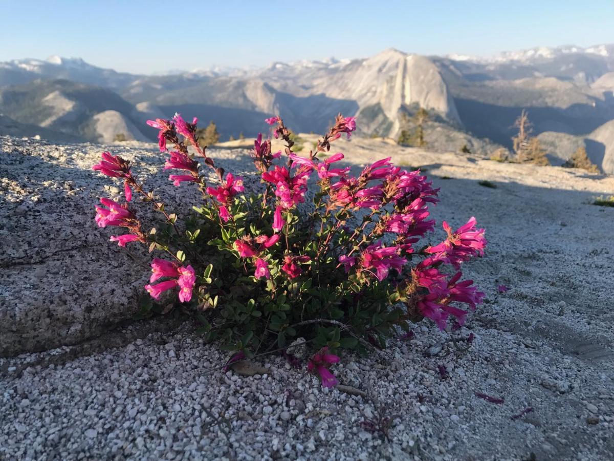 Ferienwohnung Morning Star Vista Near Yosemite - Countryside With Mountain Views Mariposa Exterior foto